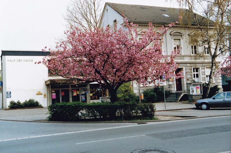 Das alte Pastorat mit dem Haus der Kirche um 1990.